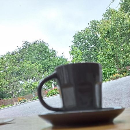 La Casa Bed&Breakfast Entree Independante 26M2 Calme Proche De Tout Wifi Parking Prive Jardin Terrasse ยูร์รูญ ภายนอก รูปภาพ