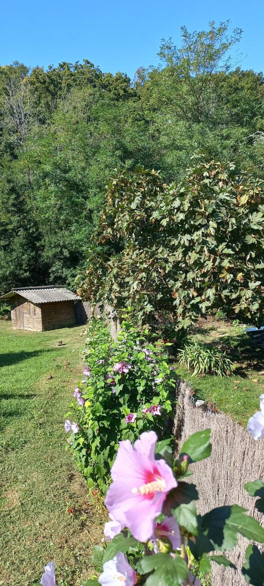 La Casa Bed&Breakfast Entree Independante 26M2 Calme Proche De Tout Wifi Parking Prive Jardin Terrasse ยูร์รูญ ภายนอก รูปภาพ